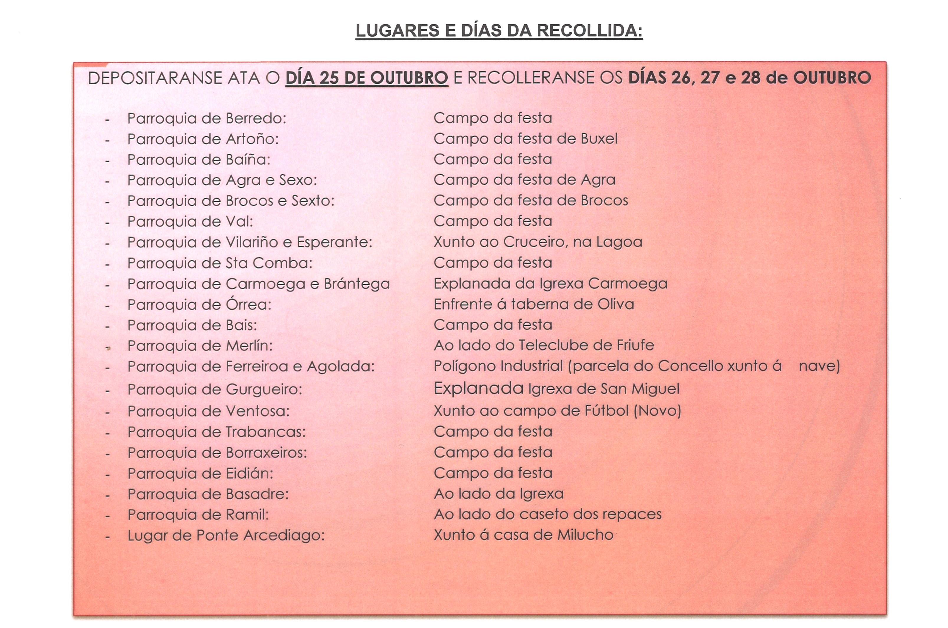 RECOLLIDA PLÁSTICO